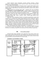 Verslas Lietuvoje ir jo organizavimo galimybės 9 puslapis