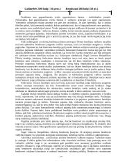 Verslas Lietuvoje ir jo organizavimo galimybės 10 puslapis
