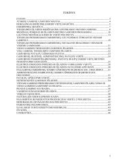 Verslo ekonomika: UAB "Karolis" 2 puslapis