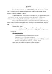 Verslo ekonomika: UAB "Karolis" 3 puslapis