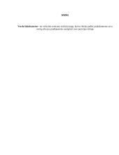 Verslo inkubatorius 2 puslapis