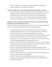 Verslo inkubatorius 13 puslapis