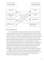 Verslo modelio analizė: pazintys.lt 12 puslapis