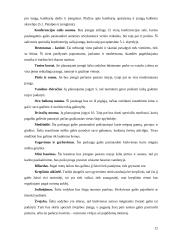 Verslo planas: kaimo turizmo sodyba "Rojus" 12 puslapis