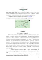 Verslo planas: kaimo turizmo sodyba "Rojus" 15 puslapis