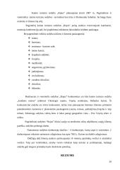 Verslo planas: kaimo turizmo sodyba "Rojus" 20 puslapis