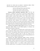 Verslo planas: konditerijos gamyba UAB "BėKrĖk" 13 puslapis