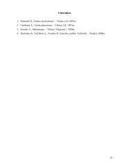 Verslo planas: restoranas IĮ "Jūrlita" 19 puslapis