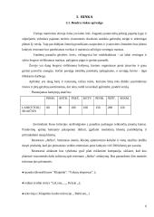 Verslo planas: restoranas IĮ "Jūrlita" 5 puslapis