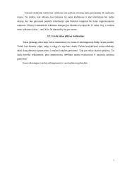 Verslo planas: restoranas IĮ "Jūrlita" 6 puslapis