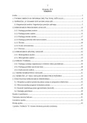 Viešbučio rinkodaros plano tobulinimas 2 puslapis