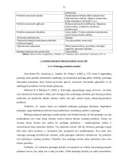 Viešbučio rinkodaros plano tobulinimas 12 puslapis