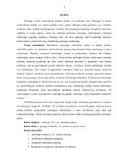Viešbučio rinkodaros plano tobulinimas 3 puslapis