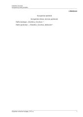Kompiuterių tinklų projektas 17 puslapis