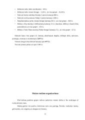Maitinimo organizavimas keliaujant automobiliu 11 puslapis
