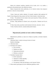 Maitinimo organizavimas keliaujant automobiliu 12 puslapis