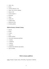 Maitinimo organizavimas keliaujant automobiliu 5 puslapis
