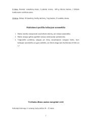 Maitinimo organizavimas keliaujant automobiliu 6 puslapis