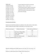 Maitinimo organizavimas keliaujant automobiliu 7 puslapis