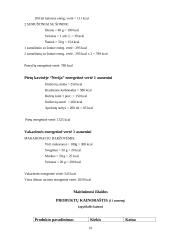 Maitinimo organizavimas keliaujant automobiliu 9 puslapis