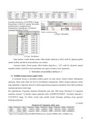 Statistikos savarankiški darbai 11 puslapis