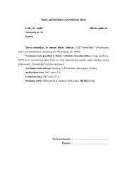 Turto vertinimo ataskaita 18 puslapis