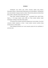 Turto vertinimo ataskaita 3 puslapis