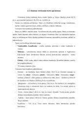 Turto vertinimo ataskaita 7 puslapis