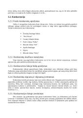 Verslo planas: amerikietiškojo biliardo baras "Green" UAB "Grynesta" 6 puslapis