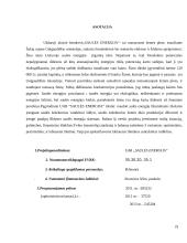 Verslo planas: fotoelektrinė UAB "Saulės energija" 2 puslapis