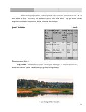 Verslo planas: fotoelektrinė UAB "Saulės energija" 7 puslapis
