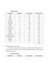 Verslo planas: pirties nuoma UAB "Erelio skrydis" 10 puslapis