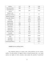 Verslo planas: pirties nuoma UAB "Erelio skrydis" 11 puslapis