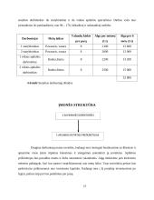 Verslo planas: pirties nuoma UAB "Erelio skrydis" 12 puslapis