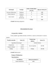 Verslo planas: pirties nuoma UAB "Erelio skrydis" 13 puslapis