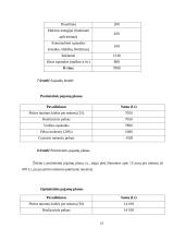 Verslo planas: pirties nuoma UAB "Erelio skrydis" 14 puslapis