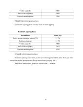Verslo planas: pirties nuoma UAB "Erelio skrydis" 15 puslapis