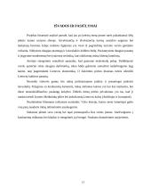 Verslo planas: pirties nuoma UAB "Erelio skrydis" 16 puslapis