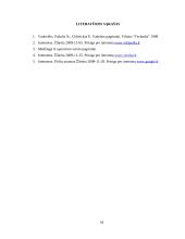 Verslo planas: pirties nuoma UAB "Erelio skrydis" 17 puslapis