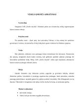 Verslo planas: pirties nuoma UAB "Erelio skrydis" 4 puslapis