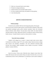 Verslo planas: pirties nuoma UAB "Erelio skrydis" 5 puslapis