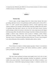 Verslo planas: pirties nuoma UAB "Erelio skrydis" 6 puslapis