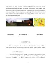 Verslo planas: pirties nuoma UAB "Erelio skrydis" 7 puslapis