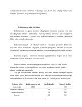 Verslo planas: pirties nuoma UAB "Erelio skrydis" 8 puslapis