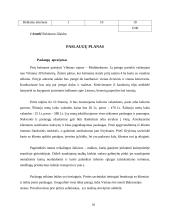 Verslo planas: pirties nuoma UAB "Erelio skrydis" 9 puslapis