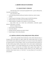 Įmonės veikla: duonos kepimas UAB "Lašų duona" 10 puslapis