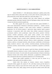 Pažintinė verslo praktika: UAB "Maxima LT" 6 puslapis