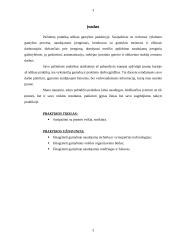 Pažintinės praktikos ataskaita: gyvenamųjų namų statyba UAB "Grensena" 2 puslapis
