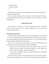 Pažintinės praktikos ataskaita: kopijavimo, skaitmeninės spaudos ir leidybos paslaugos UAB "Ciklonas" 7 puslapis