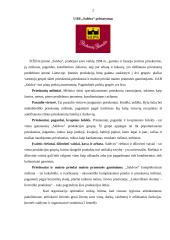 Praktikos ataskaita: prieskonių perdirbimo įmonė UAB "Saldva" 2 puslapis
